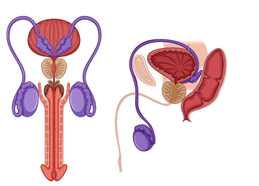 erkeklerde prostatit